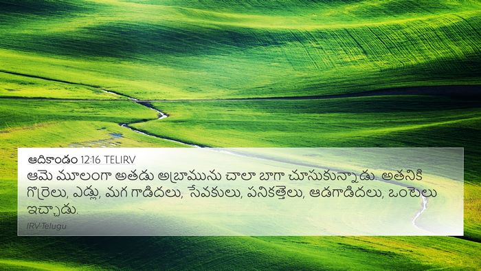 ఆదికాండం 12:16 TELIRV Bible Verse Image