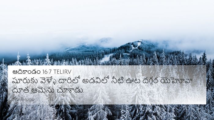 ఆదికాండం 16:7 TELIRV Bible Verse Image