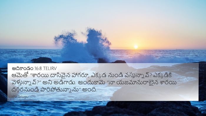 ఆదికాండం 16:8 TELIRV Bible Verse Image