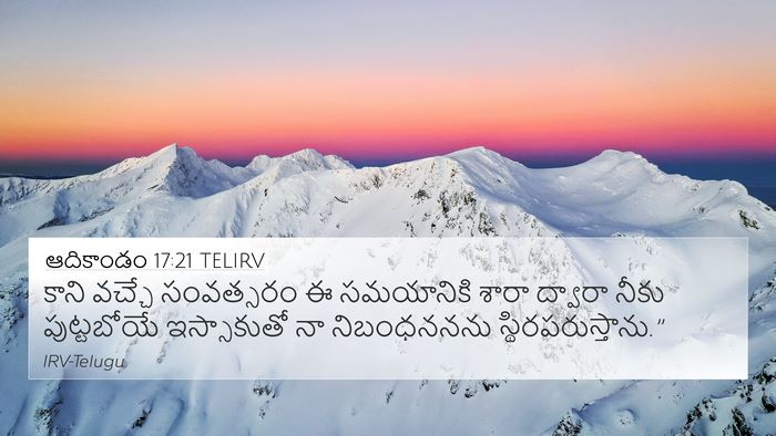 ఆదికాండం 17:21 TELIRV Bible Verse Image