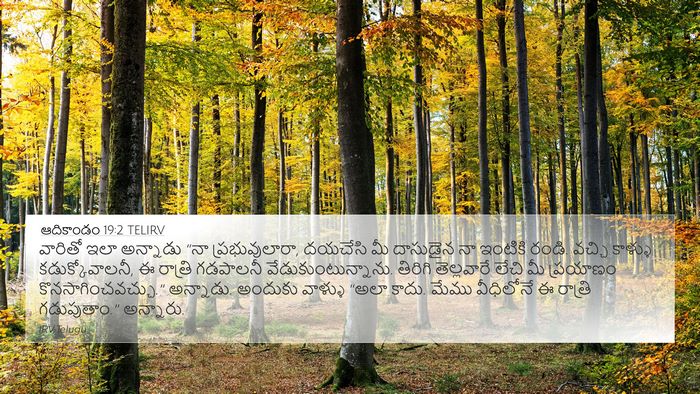 ఆదికాండం 19:2 TELIRV Bible Verse Image