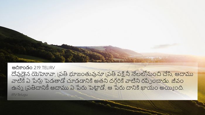ఆదికాండం 2:19 TELIRV Bible Verse Image