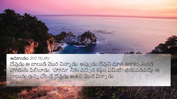 ఆదికాండం 21:17 TELIRV Bible Verse Image