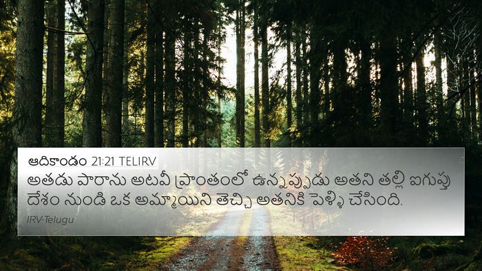 ఆదికాండం 21:21 TELIRV Bible Verse Image