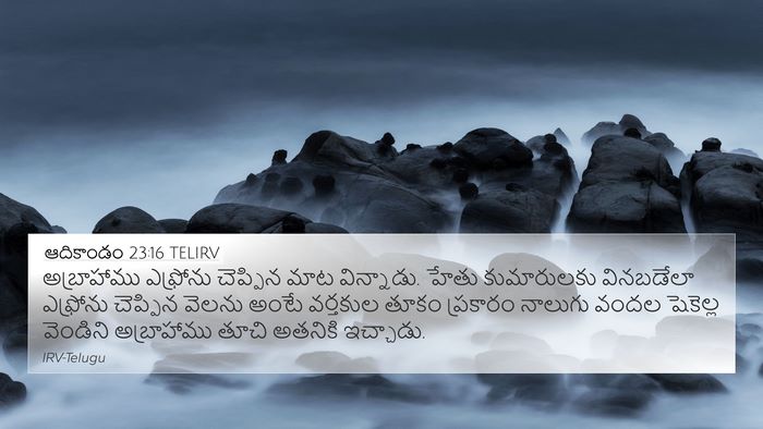 ఆదికాండం 23:16 TELIRV Bible Verse Image