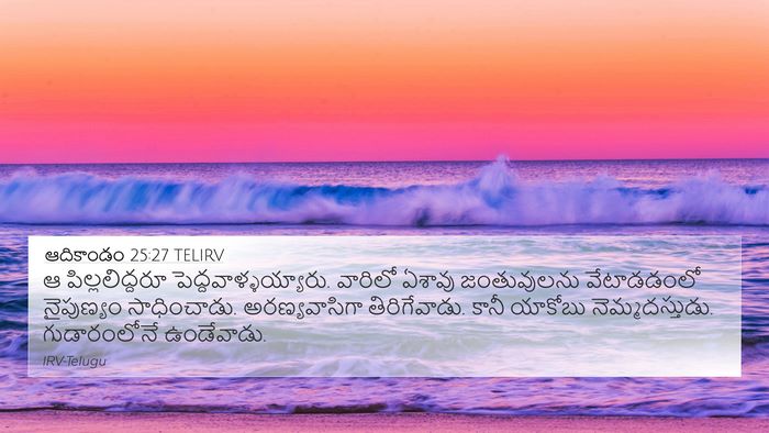 ఆదికాండం 25:27 TELIRV Bible Verse Image