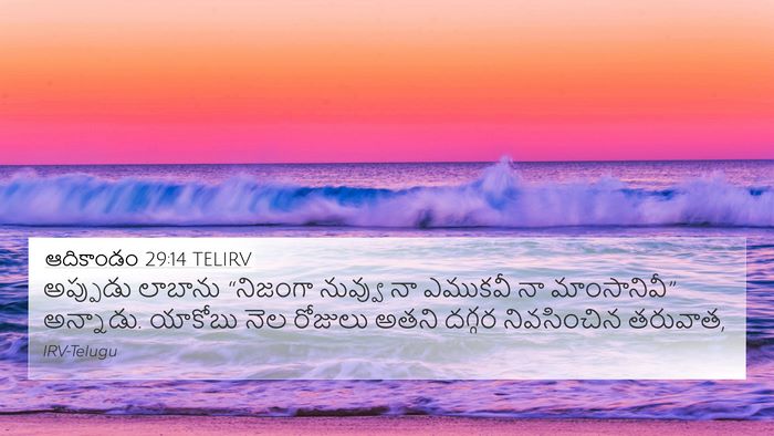 ఆదికాండం 29:14 TELIRV Bible Verse Image