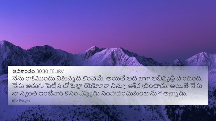 ఆదికాండం 30:30 TELIRV Bible Verse Image