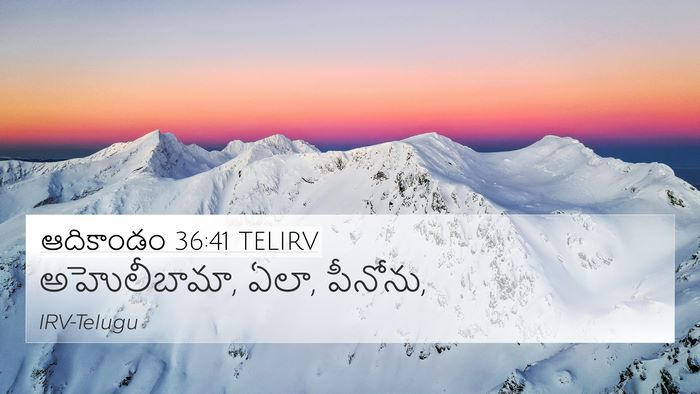 ఆదికాండం 36:41 TELIRV Bible Verse Image