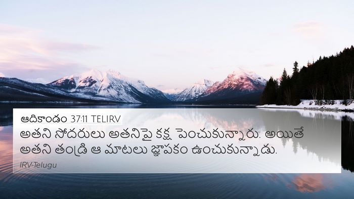 ఆదికాండం 37:11 TELIRV Bible Verse Image
