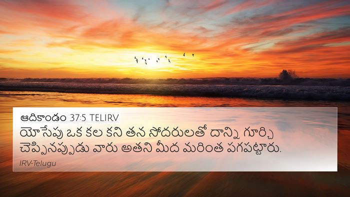 ఆదికాండం 37:5 TELIRV Bible Verse Image
