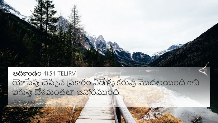 ఆదికాండం 41:54 TELIRV Bible Verse Image