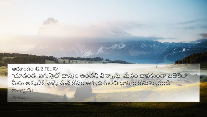 ఆదికాండం 42:2 TELIRV Bible Verse Image