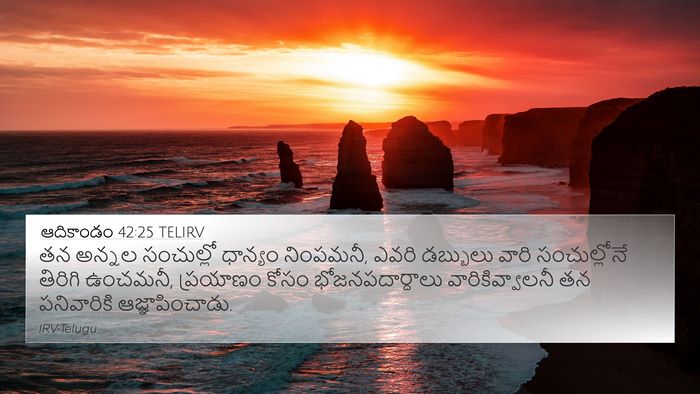 ఆదికాండం 42:25 TELIRV Bible Verse Image