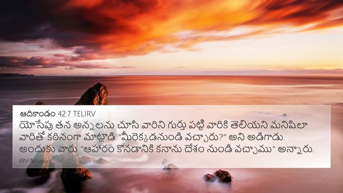 ఆదికాండం 42:7 TELIRV Bible Verse Image