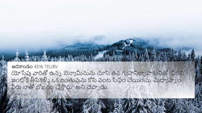 ఆదికాండం 43:16 TELIRV Bible Verse Image