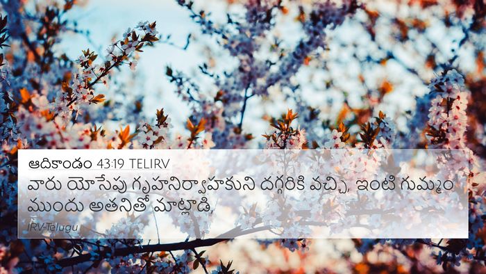 ఆదికాండం 43:19 TELIRV Bible Verse Image
