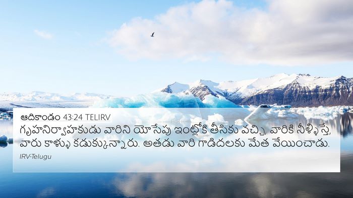 ఆదికాండం 43:24 TELIRV Bible Verse Image