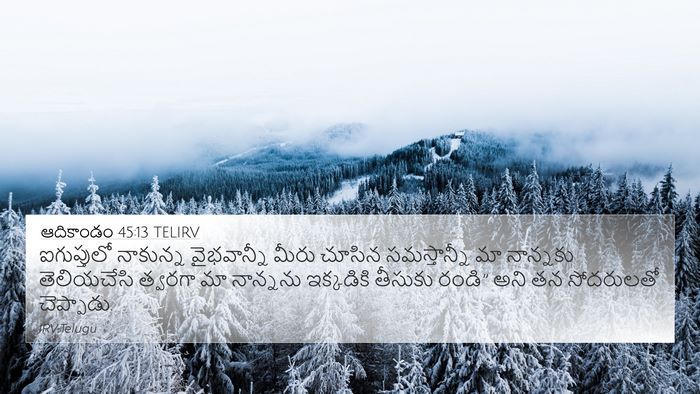 ఆదికాండం 45:13 TELIRV Bible Verse Image