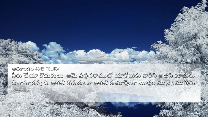 ఆదికాండం 46:15 TELIRV Bible Verse Image