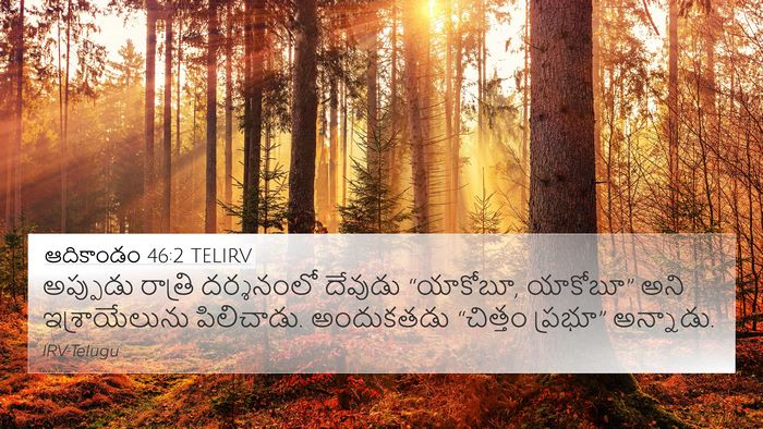 ఆదికాండం 46:2 TELIRV Bible Verse Image