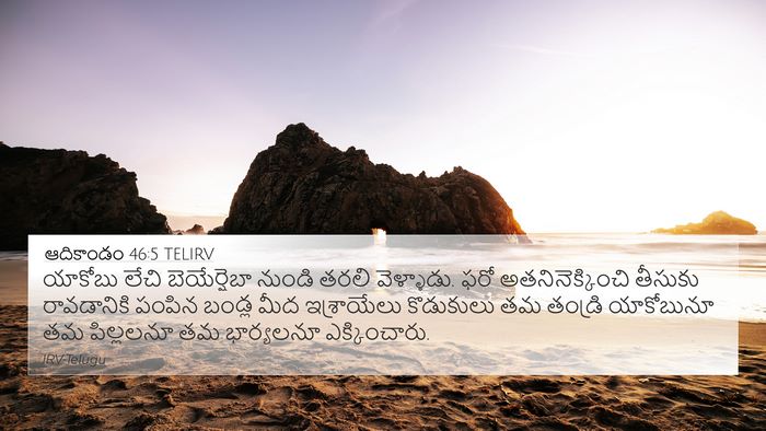 ఆదికాండం 46:5 TELIRV Bible Verse Image