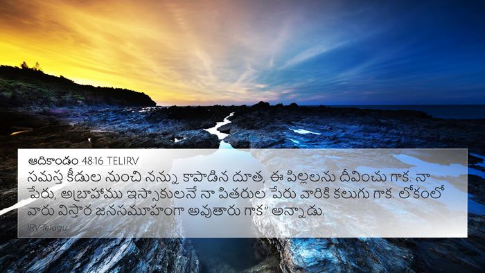 ఆదికాండం 48:16 TELIRV Bible Verse Image