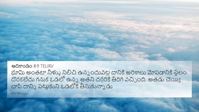 ఆదికాండం 8:9 TELIRV Bible Verse Image