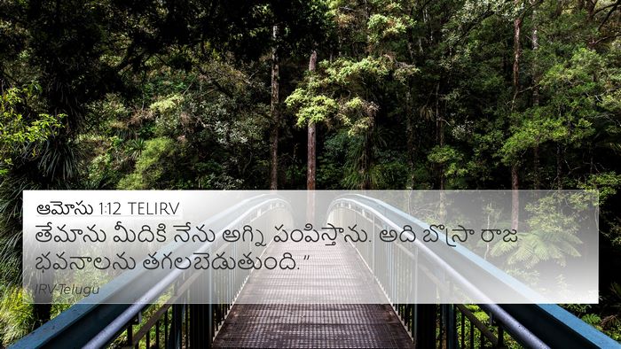 ఆమోసు 1:12 TELIRV Bible Verse Image