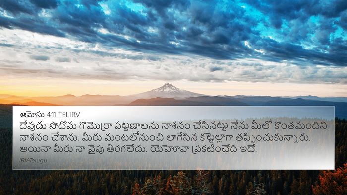ఆమోసు 4:11 TELIRV Bible Verse Image