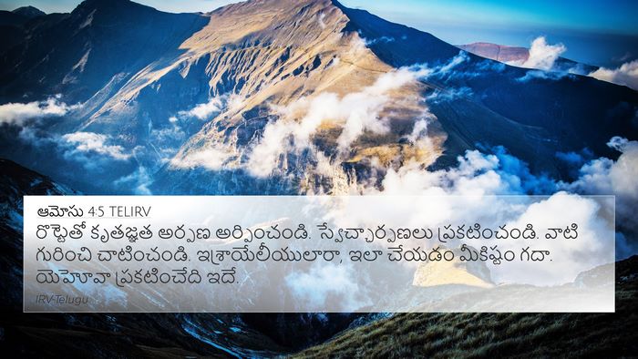 ఆమోసు 4:5 TELIRV Bible Verse Image