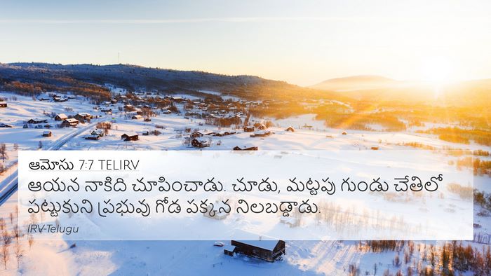 ఆమోసు 7:7 TELIRV Bible Verse Image