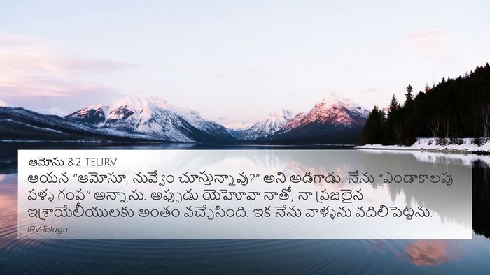 ఆమోసు 8:2 TELIRV Bible Verse Image