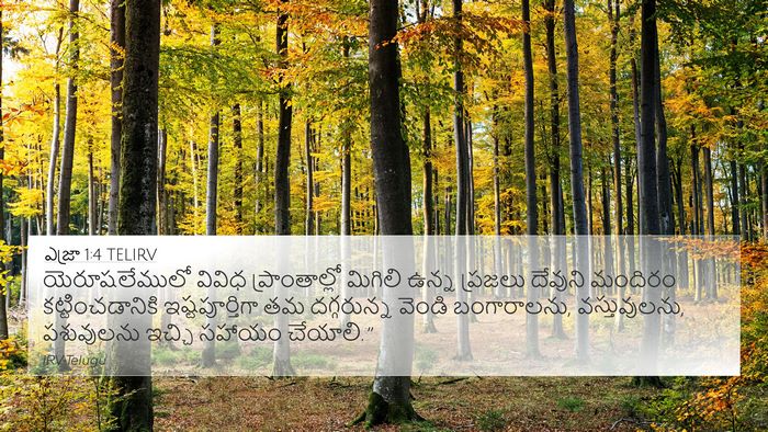 ఎజ్రా 1:4 TELIRV Bible Verse Image