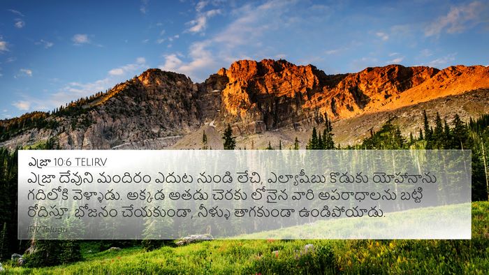 ఎజ్రా 10:6 TELIRV Bible Verse Image
