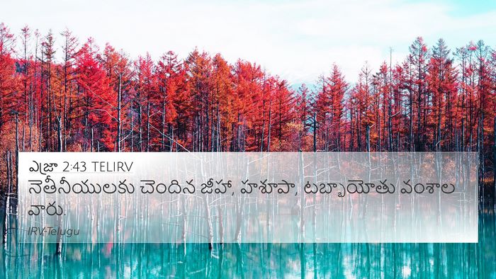 ఎజ్రా 2:43 TELIRV Bible Verse Image