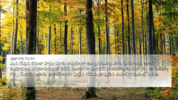 ఎజ్రా 8:18 TELIRV Bible Verse Image