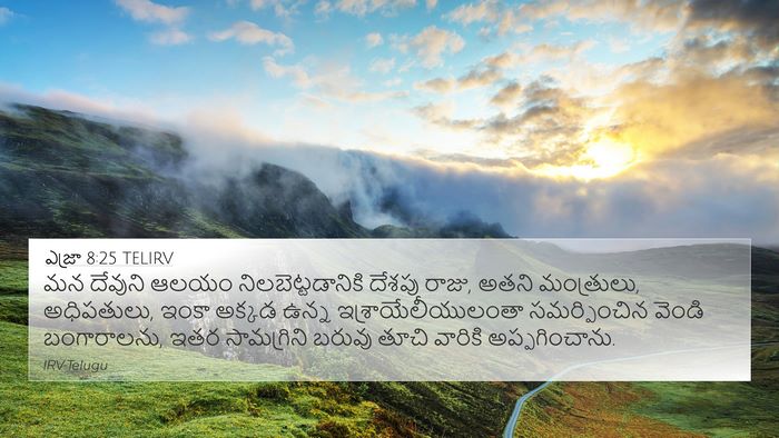 ఎజ్రా 8:25 TELIRV Bible Verse Image