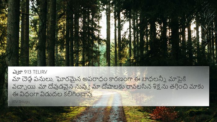 ఎజ్రా 9:13 TELIRV Bible Verse Image