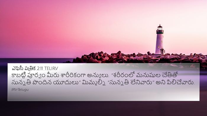 ఎఫెసీ పత్రిక 2:11 TELIRV Bible Verse Image