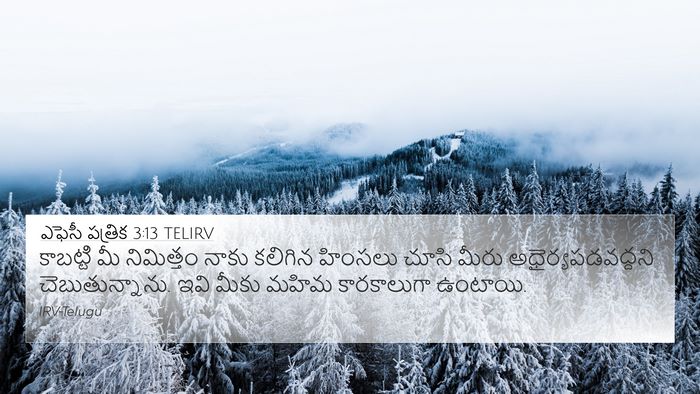 ఎఫెసీ పత్రిక 3:13 TELIRV Bible Verse Image