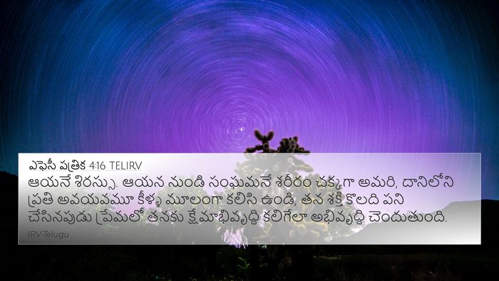 ఎఫెసీ పత్రిక 4:16 TELIRV Bible Verse Image