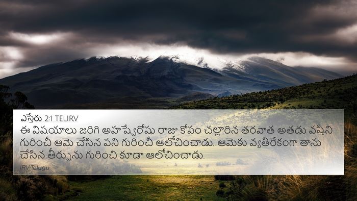 ఎస్తేరు 2:1 TELIRV Bible Verse Image