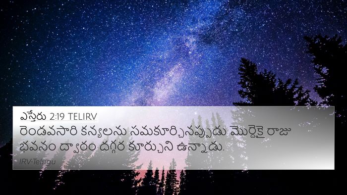 ఎస్తేరు 2:19 TELIRV Bible Verse Image