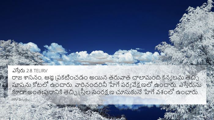 ఎస్తేరు 2:8 TELIRV Bible Verse Image