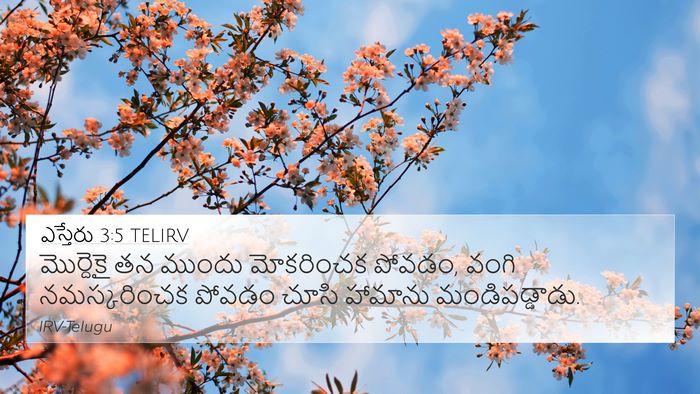 ఎస్తేరు 3:5 TELIRV Bible Verse Image