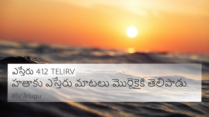 ఎస్తేరు 4:12 TELIRV 4K Wallpaper - హతాకు ఎస్తేరు - 4K Wallpaper Bible Verse