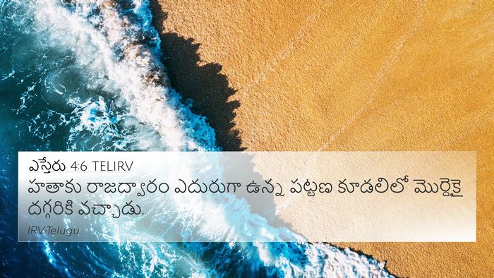 ఎస్తేరు 4:6 TELIRV Bible Verse Image