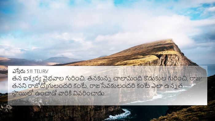 ఎస్తేరు 5:11 TELIRV Bible Verse Image