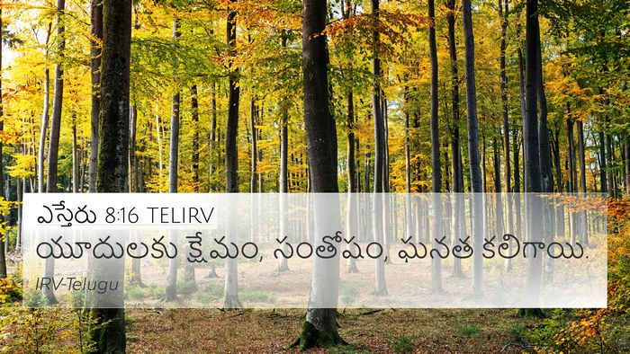 ఎస్తేరు 8:16 TELIRV Bible Verse Image